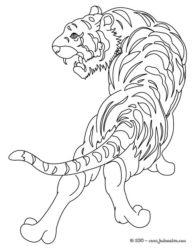 Coloriages Tigre À Colorier – Fr.hellokids dedans Dessin A Colorier Facile Tigre Coloriages Tigre À Colorier – Fr.hellokids dedans Dessin A Colorier Facile Tigre