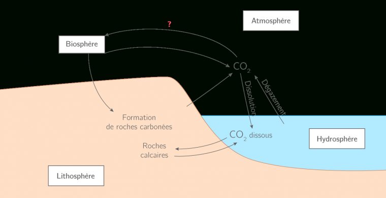 Compléter Un Schéma Sur Le Cycle Du Carbone – 2Nde – Exercice De pour Schacma Vierge Svt Respiration Pdf