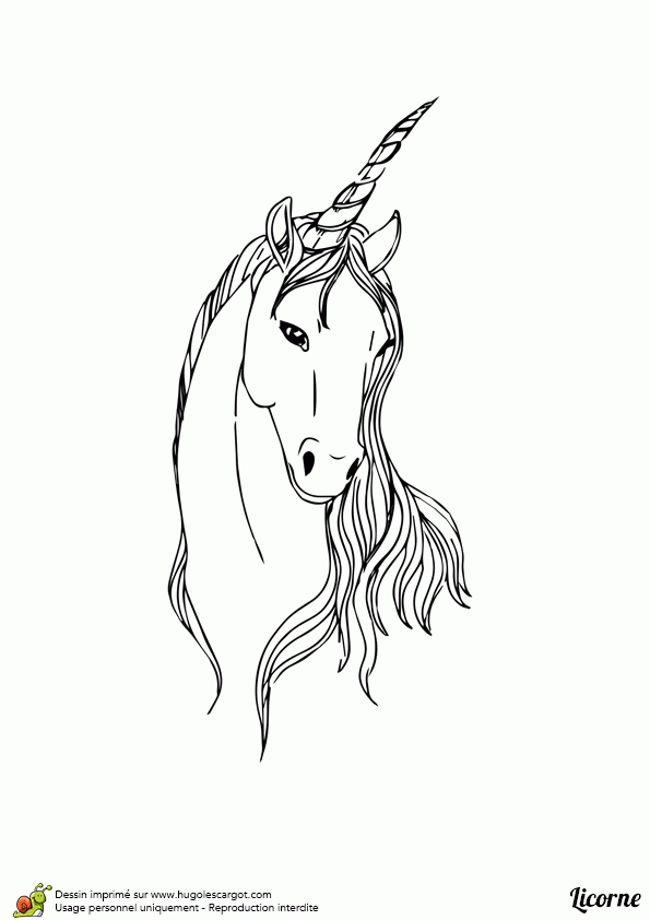 Dessin À Colorier D'Une Tête De Licorne à Dessin A Colorier Facile Unicorn