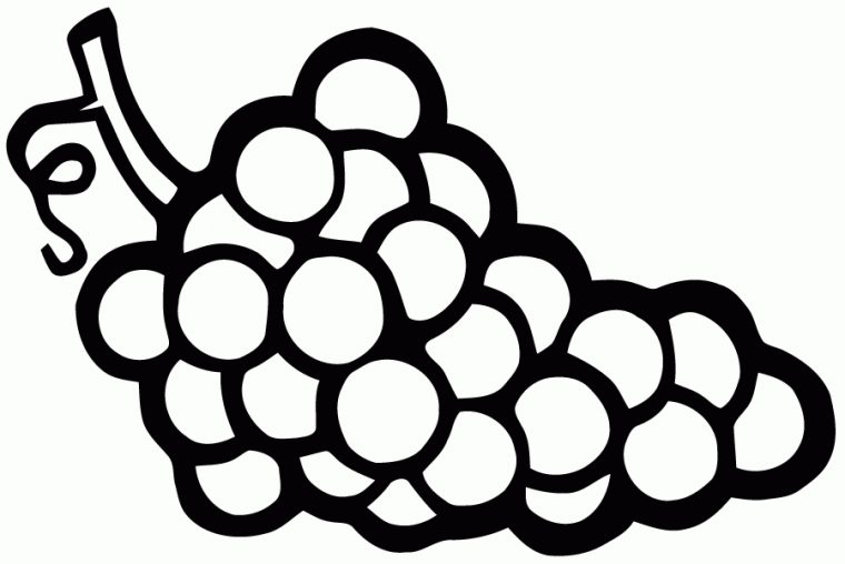 Dessin De Raisin – Ohbq encequiconcerne Desins Pour Coulorer Des Trois Petits Cochons