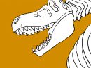 Dessin De Squelette De Tyrannosaurus Rex Colorie Par Membre Non Inscrit à Dessin A Colorier Facile T Rex