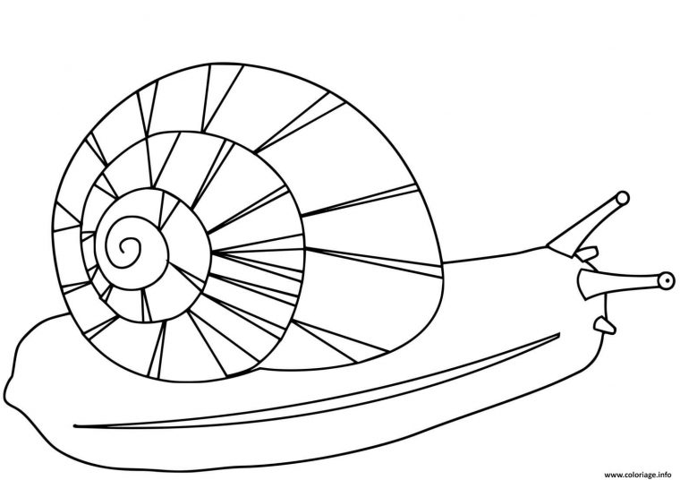 Dessin Hugo L'Escargot Gratuit : Coloriage Nourriture Kawaii En Ligne à Hugo L'Escargot Escargot Dessin Hugo L'Escargot Gratuit : Coloriage Nourriture Kawaii En Ligne à Hugo L'Escargot Escargot