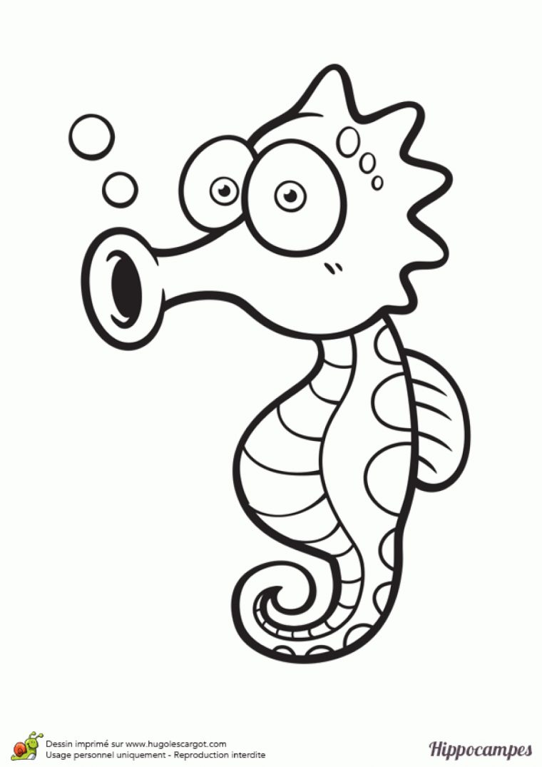 Dessin Licorne Gros Yeux pour Coloriage Animaux Gros Yeux Dessin Licorne Gros Yeux pour Coloriage Animaux Gros Yeux