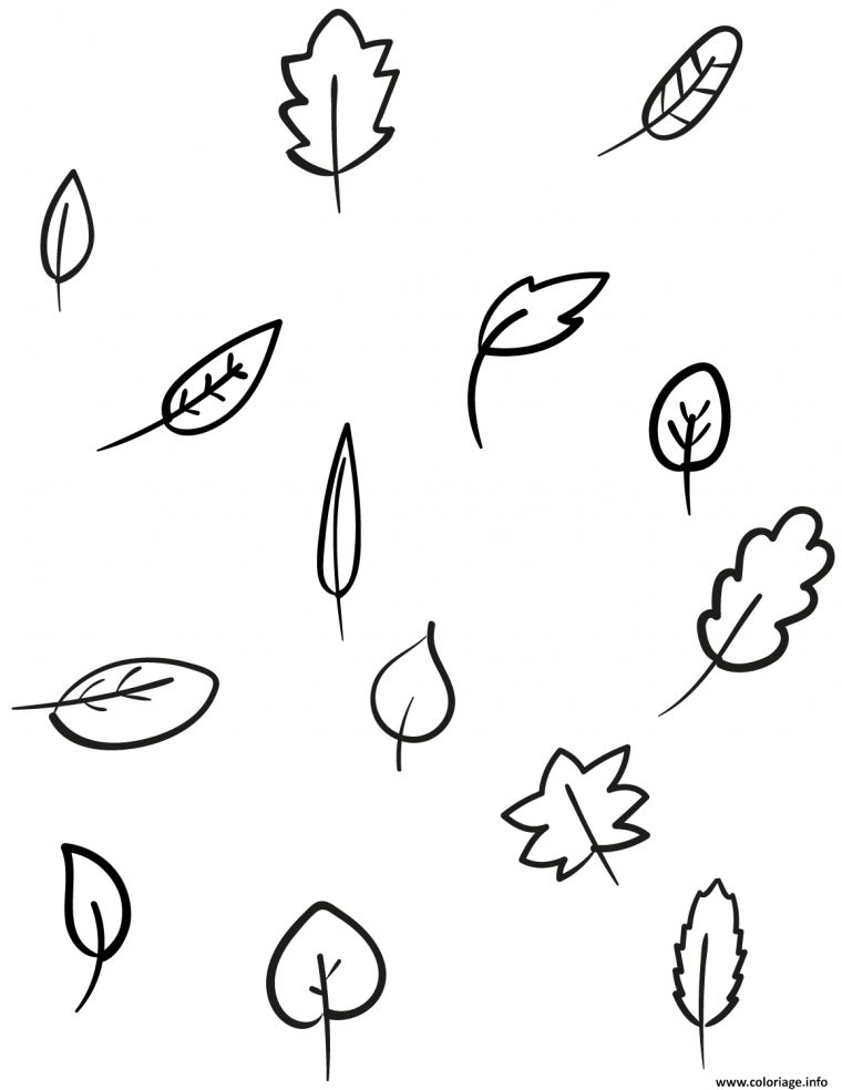 Dessins De Feuilles D Automne / Coloriage Automne Ramasser Les Feuilles encequiconcerne Erable A Colorier