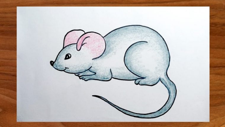 Easy Rat Drawing || Mouse Drawing Step By Step For Beggeiner'S By avec Dessin A Colorier Facile Rat