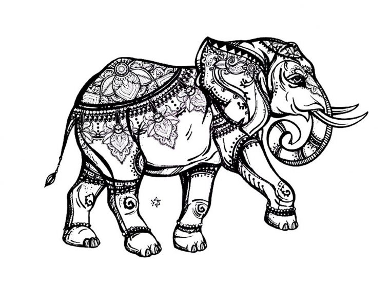 Elephant Elegant - Eléphants - Coloriages Difficiles Pour Adultes à Coloriage 0 Imprimer Animaux