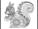 Épinglé Par Sri Handayani Sur Coloring Rodent | Coloriage Écureuil concernant Livre Coloriage Mandala Animaux