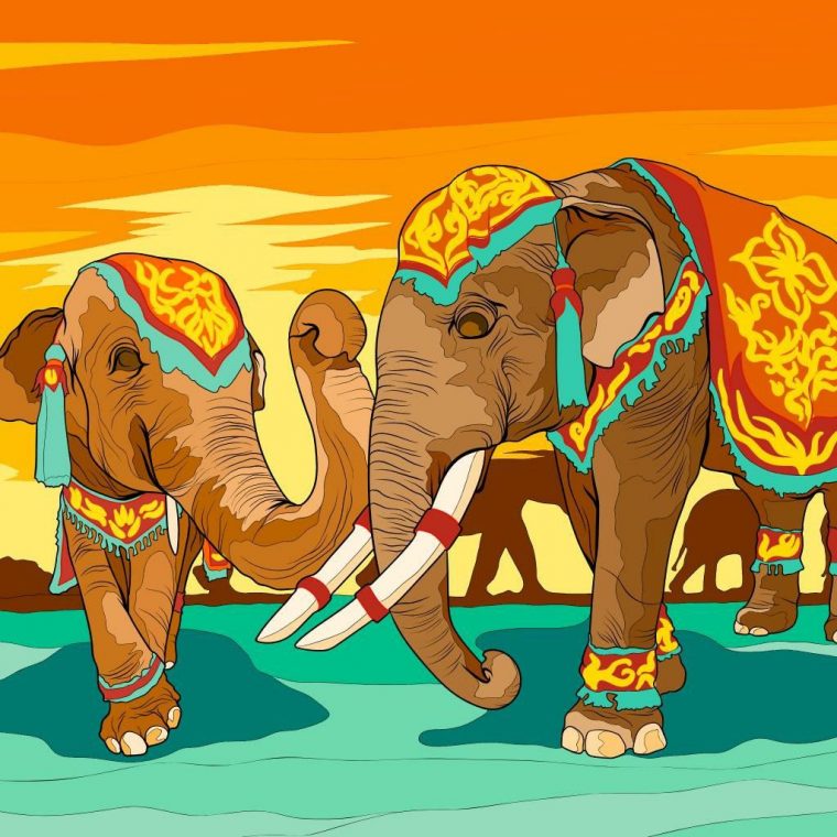 Épinglé Par Sylvie Geai (Pictavie) Sur 0 Couleurs By Numeros En 2020 pour Jeux De Coloriage Par Numacro Gratuit Pour Pc