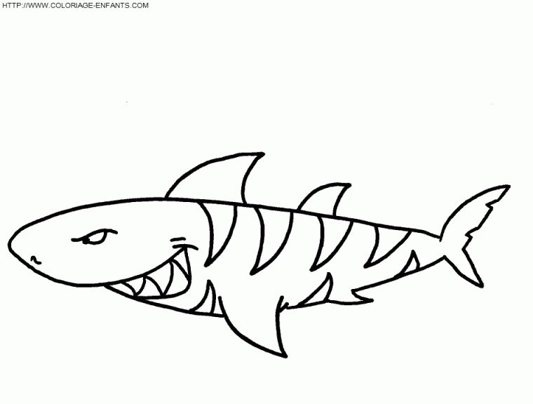Fã©Es Facile A Dessiner Page 2 Coloriage | Chibi Coloring Pages, Shark tout Dessin De Requin A Colorier Et A Imprimer