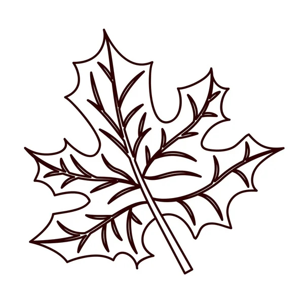 Feuille De L'Érable Image Libre De Droit Par Basel101658 © #1255833 avec Erable A Colorier