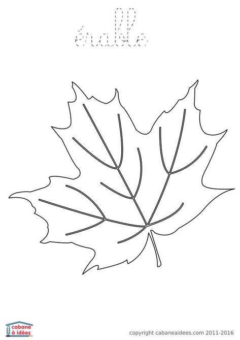 Fiches Et Pdf À Télécharger | Dessin Feuille, Feuille Arbre Et Coloriage encequiconcerne Erable A Colorier
