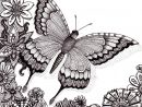 Flutter By Butterfly 25Aug12 By Artwyrd On Deviantart | Zentangle Art à Coloriage Mandala Libellule