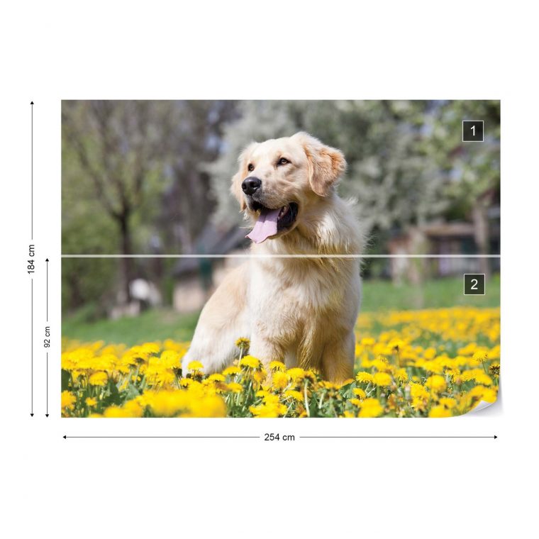 Golden Retriever Dog Poster Mural, Papier Peint | Acheter-Le Sur pour Image A Imprimer De 2 Goleden Retrever