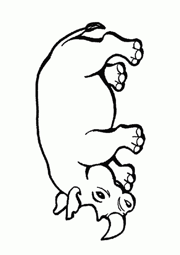 Image Rhinocéros Coloriage destiné Coloriage Animaux Ère