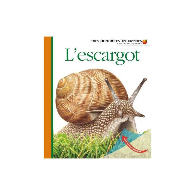 L'Escargot – Ludik.nc pour Hugo L'Escargot Chanson