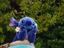 Lilo &amp; Stitch:) | Lilo And Stitch, Stitch Disney, Stitch And Angel pour Facebookcom/Disneysitich