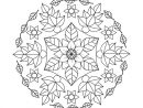 Livre De Coloriage De Fleurs Et De Feuilles De Mandala Pour Les Adultes à Livre Coloriage Mandala Adulte