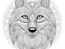 Mandala Tete Loup 2 - Mandalas - Coloriages Difficiles Pour Adultes serapportantà Coloriage Mandala Lion À Imprimer