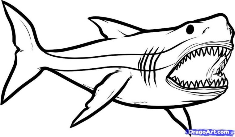Megalodon Shark Step By Step Dinosaurs Animals Free Online Drawing avec Dessin A Colorier Facile Requin