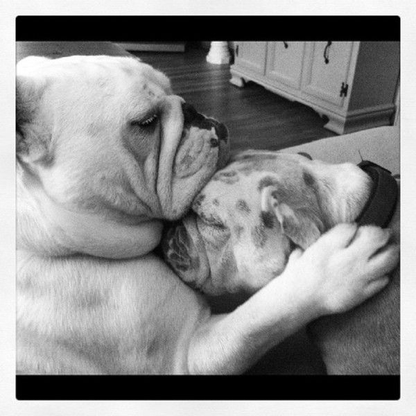 Oh, Mon Doudou! Comme Je T'Aime! – Centerblog tout Oh Maman Maman Chacrie Je T Aime Tand