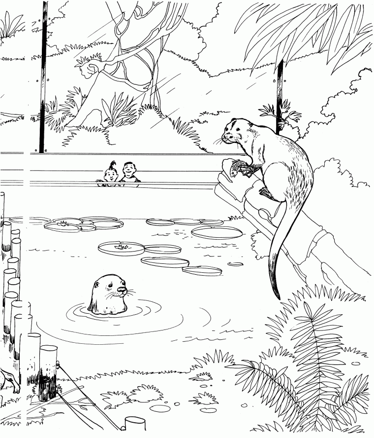 otter coloring pages otter coloring pages