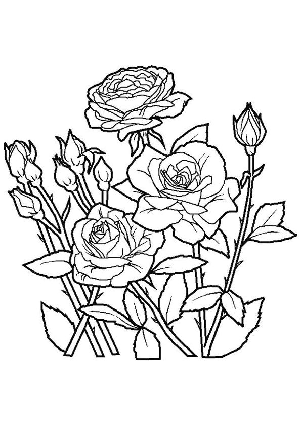, Page 34 Sur 51 Sur Hugolescargot | Rose Coloring Pages, Flowers intérieur Hugo L'Escargot Bouquet De Fleurs