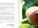 Paroles De Fruits - Livre De Jean-Yves Maisonneuve dedans Paroles Tout Les Lacgume
