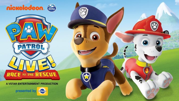 Pat Patrouille Dessin Anim? En Francais  – Ogtritious encequiconcerne Pat Patrouille Voiture De Chase Dessins