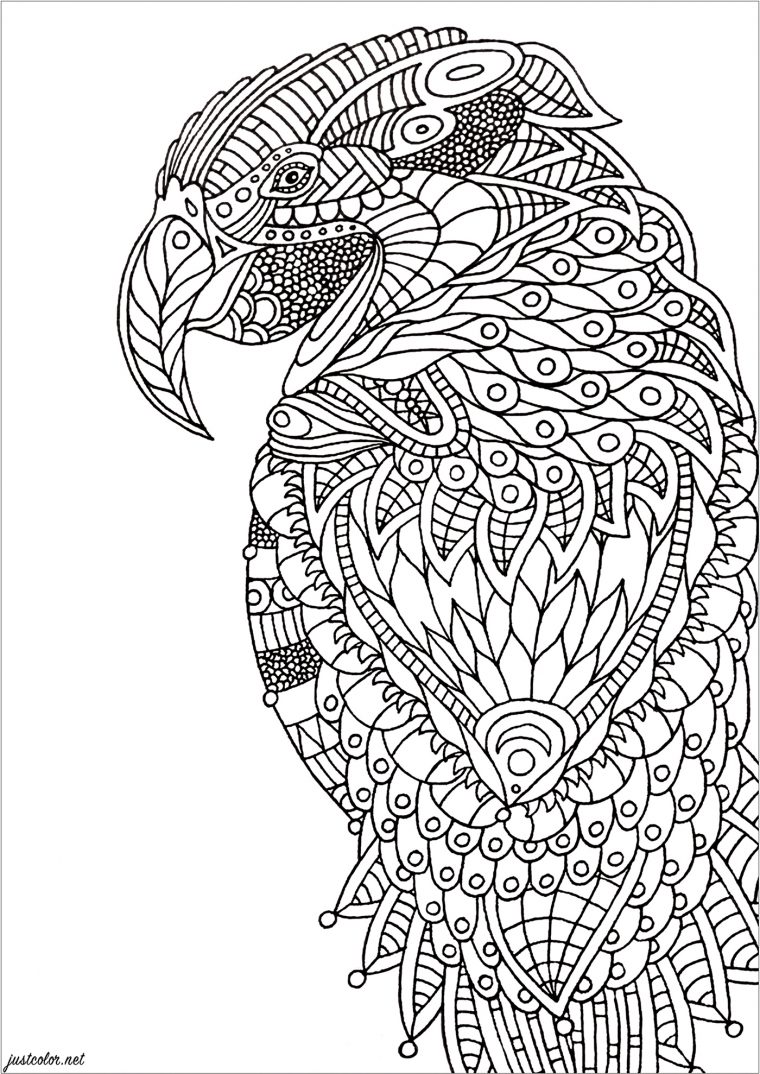 Perroquet Zentangle – Oiseaux – Coloriages Difficiles Pour Adultes serapportantà Coloriage Zen A Imprimer Animaux