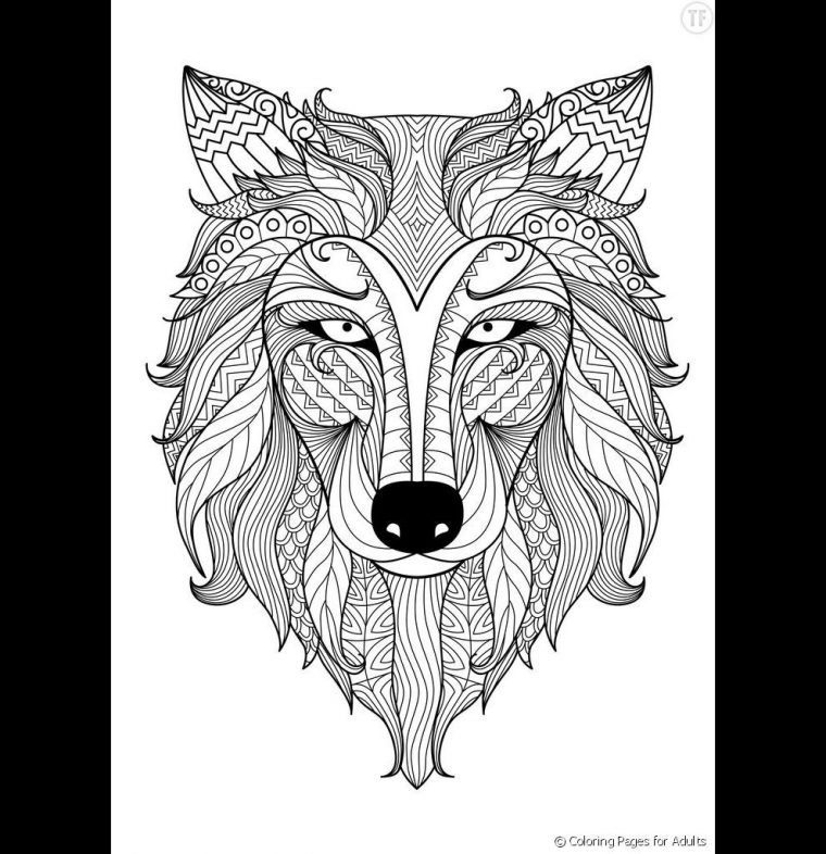 Photos - Une Gueule De Loup | Coloriage Loup, Coloriage Mandala Animaux intérieur Loup Coloriage Mandala Photos - Une Gueule De Loup | Coloriage Loup, Coloriage Mandala Animaux intérieur Loup Coloriage Mandala