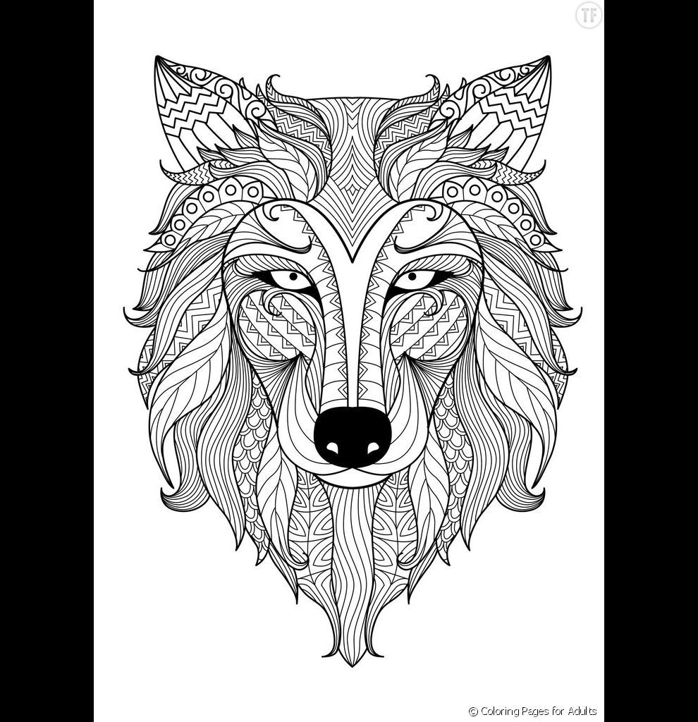 Photos - Une Gueule De Loup | Coloriage Loup, Coloriage Mandala Animaux intérieur Loup Coloriage Mandala