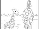 Sélection De Coloriage Girafe À Imprimer Sur Laguerche - Page 3 intérieur Coloriage Animaux Girafe