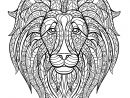 Tete Lion - Lions - Coloriages Difficiles Pour Adultes concernant Coloriage Mandala Lion À Imprimer