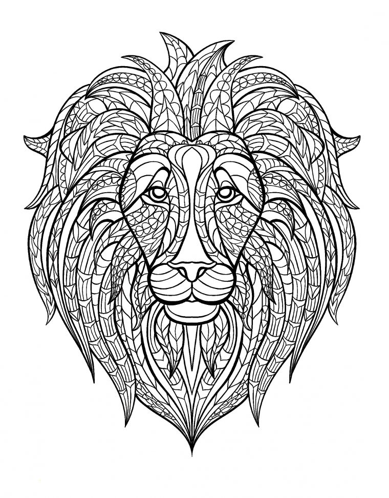 Tete Lion – Lions – Coloriages Difficiles Pour Adultes concernant Coloriage Mandala Lion À Imprimer