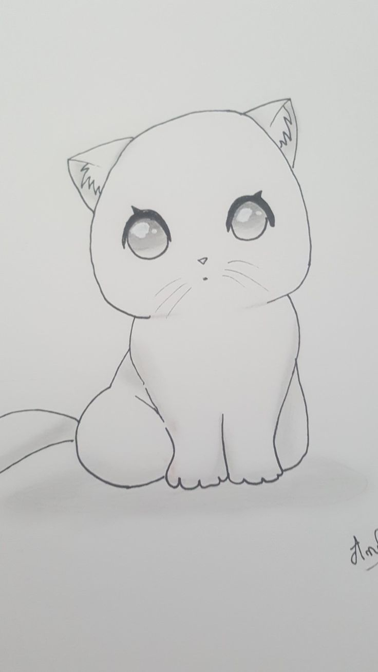 Tuto Chat | Dessin, Chat pour Dessin A Colorier Facile Tuto