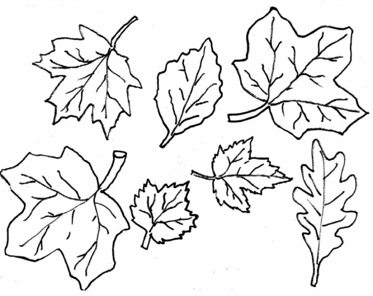fall leaf coloring pages fall leaf coloring pages