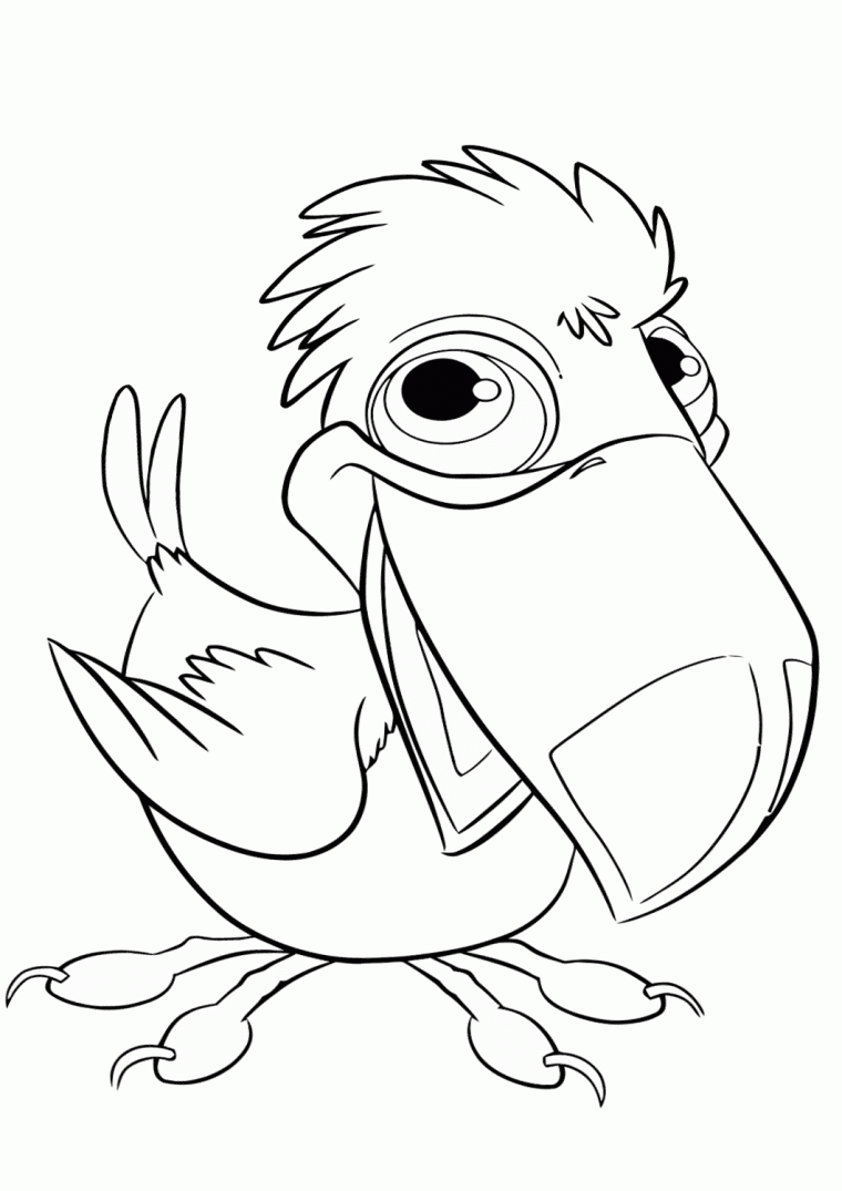 coloring page toucan coloring page toucan