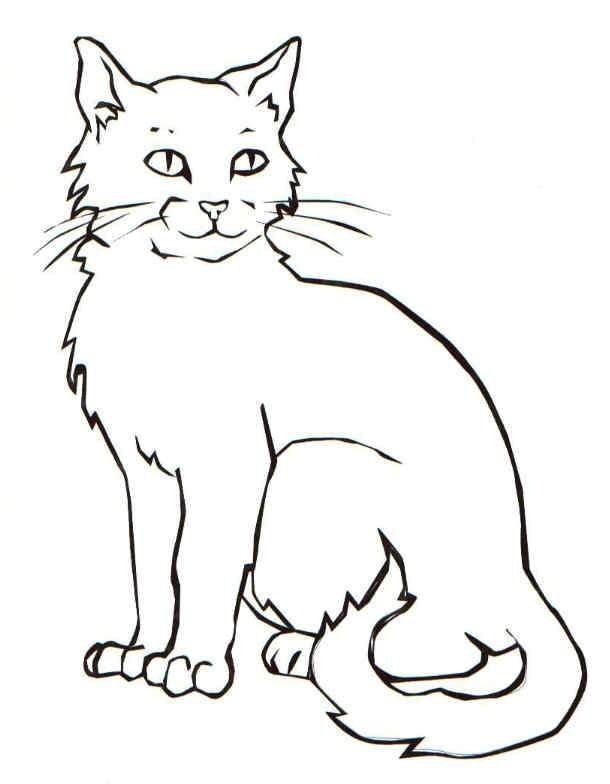 realistic cat coloring pages