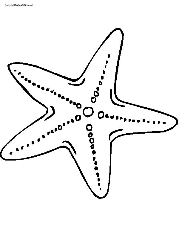 starfish color page