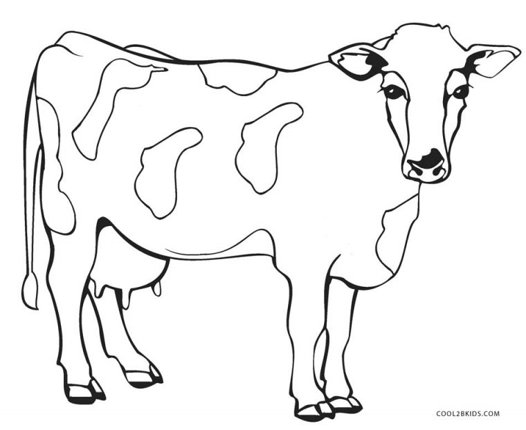 coloring pages of cows