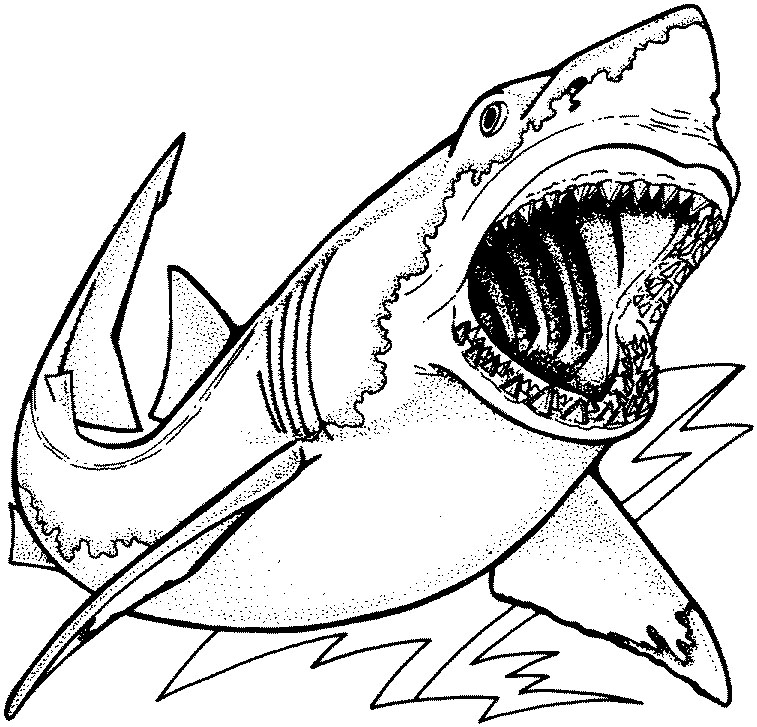 megalodon coloring page