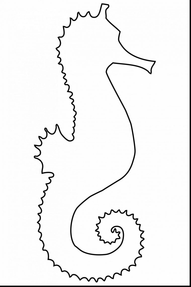 simple seahorse coloring page