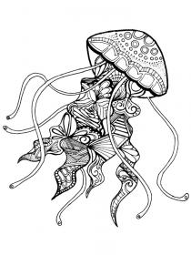 jellyfish coloring page for adults