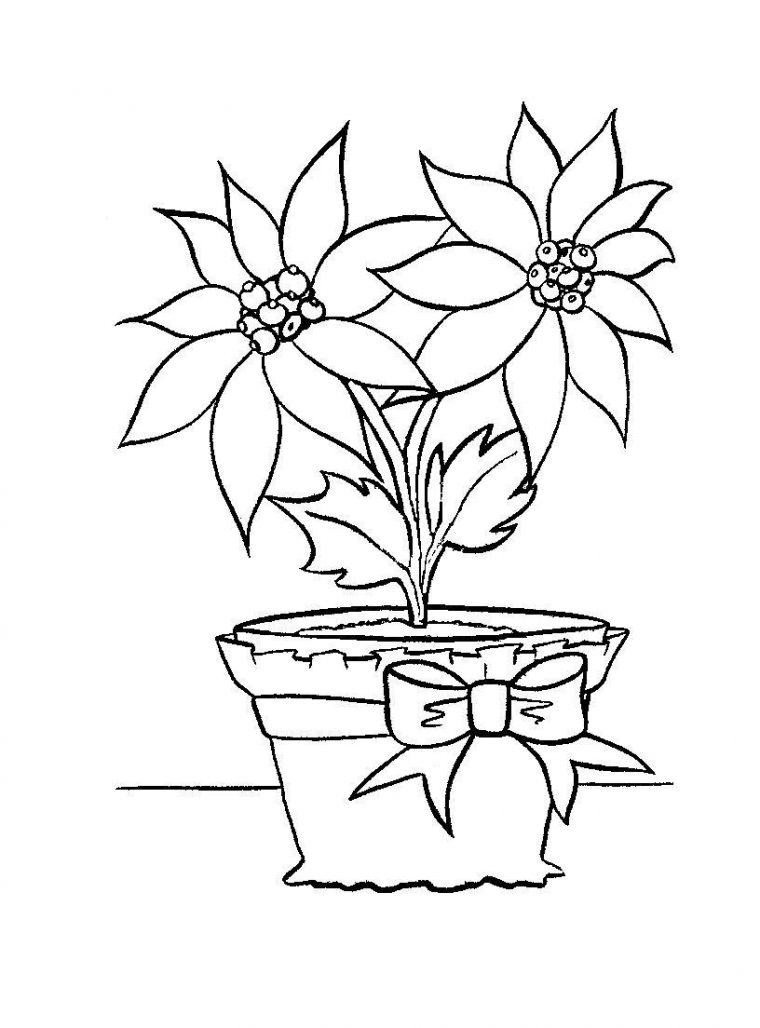 poinsettia coloring pages