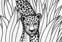 rainforest color rainforest color