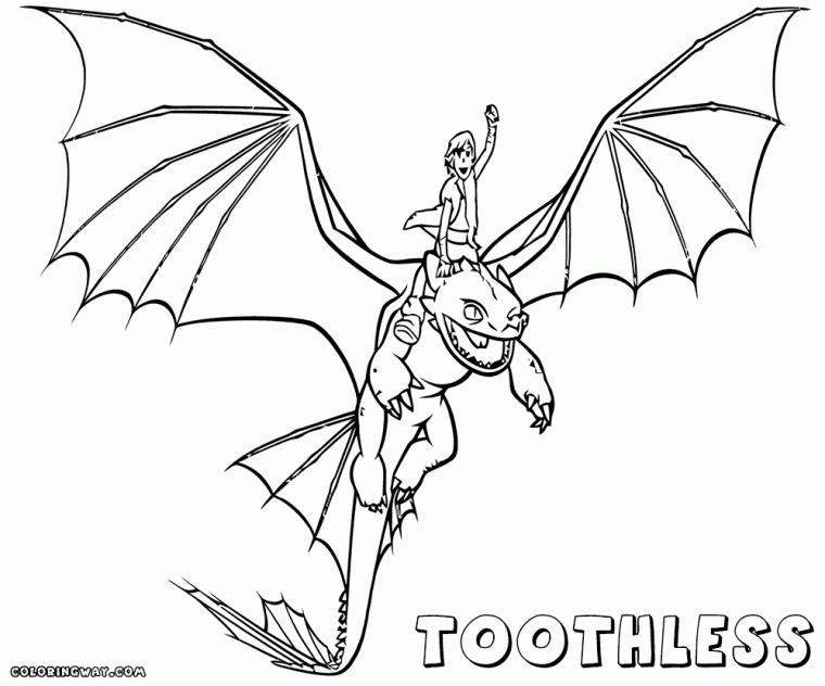 toothless dragon coloring pages