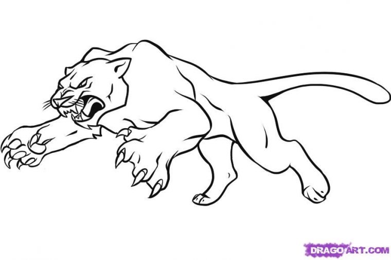 realistic black panther coloring pages