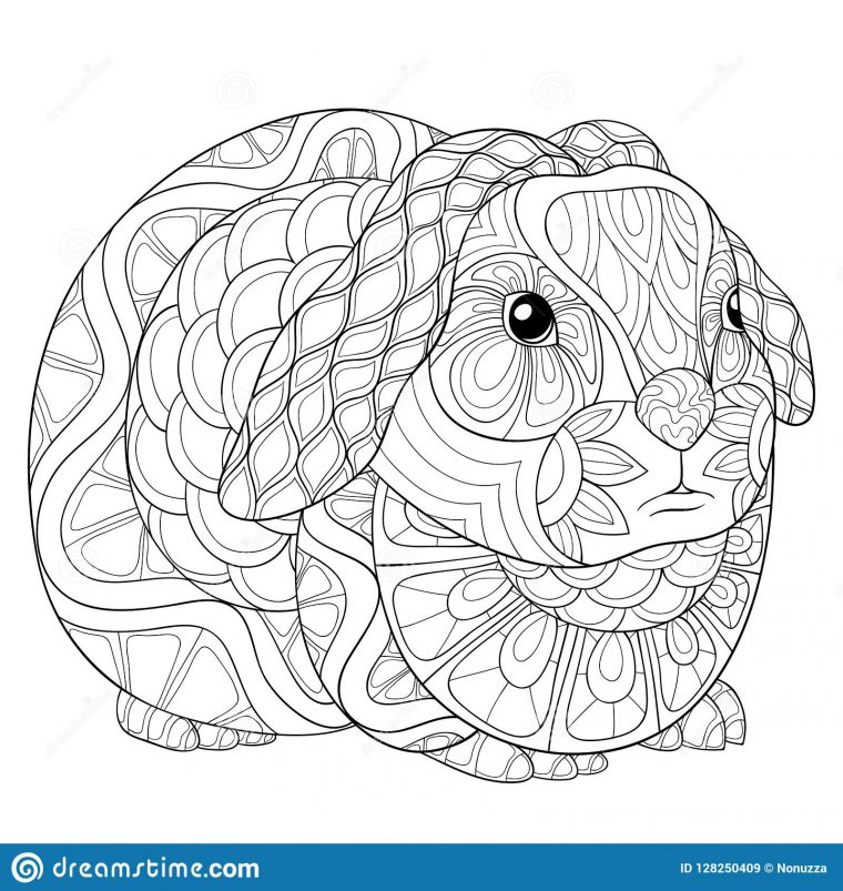 rabbit coloring pages for adults