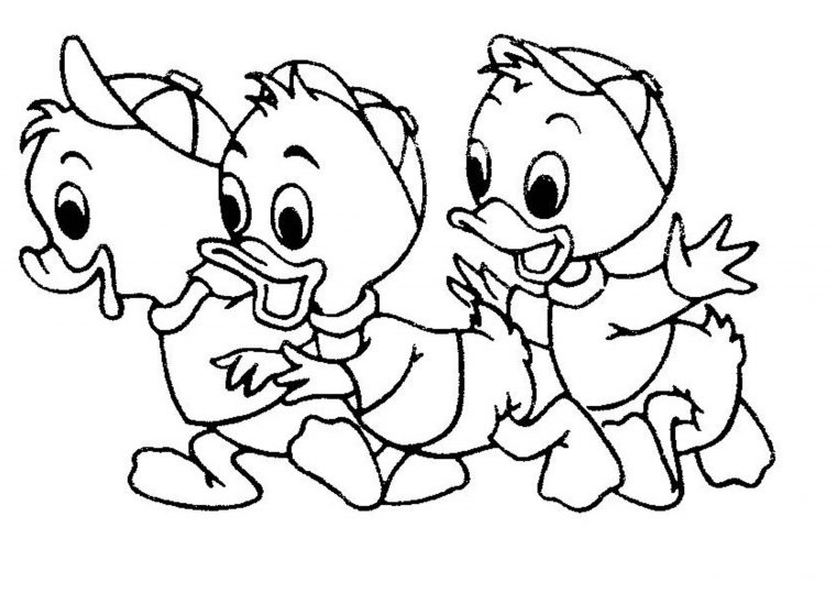 duck coloring pages printable
