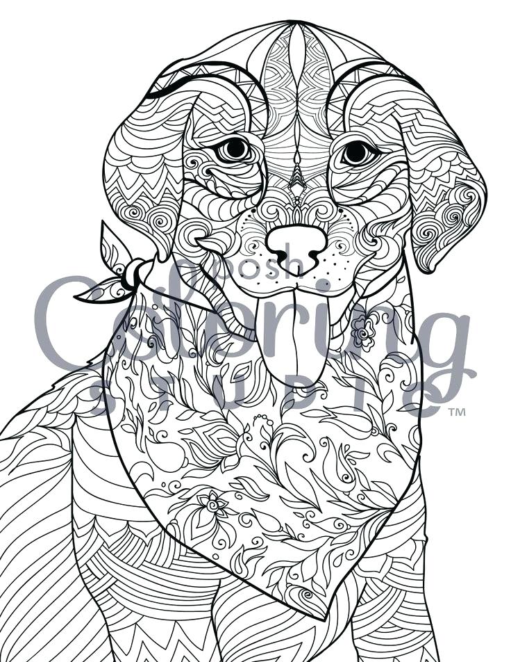 lab coloring page